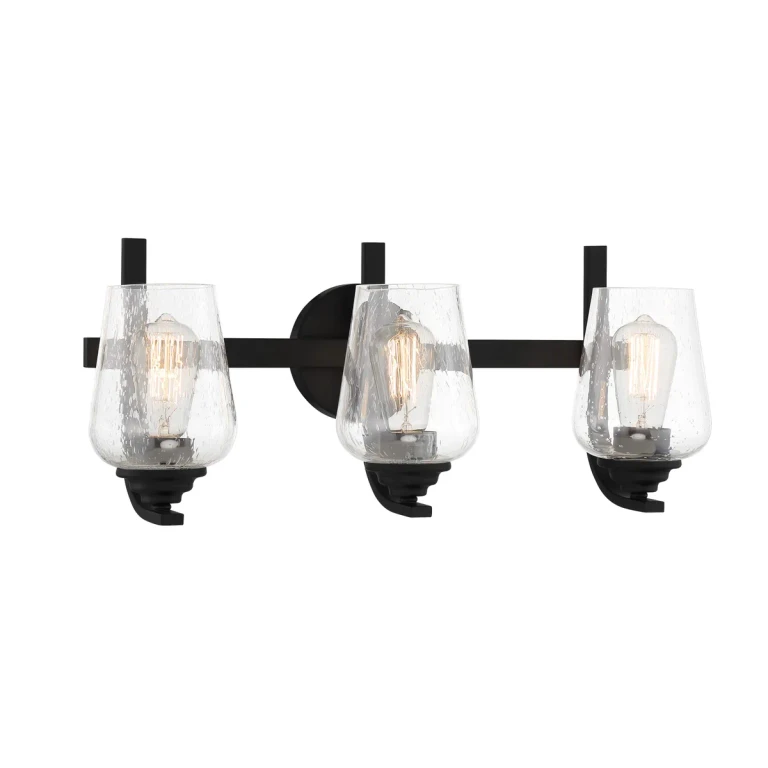Shyloh 3-Light Bathroom Vanity Light in Coal