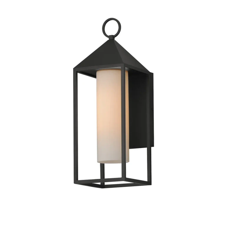 Black One Light Outdoor Wall Sconce from the Aldous Collection