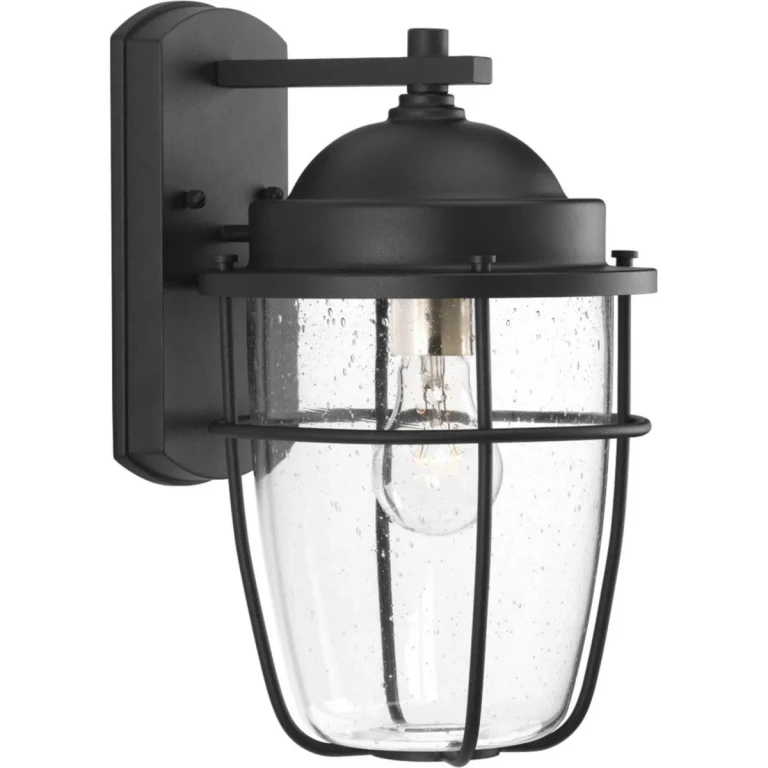 Black One Light Wall Lantern from the Holcombe Collection