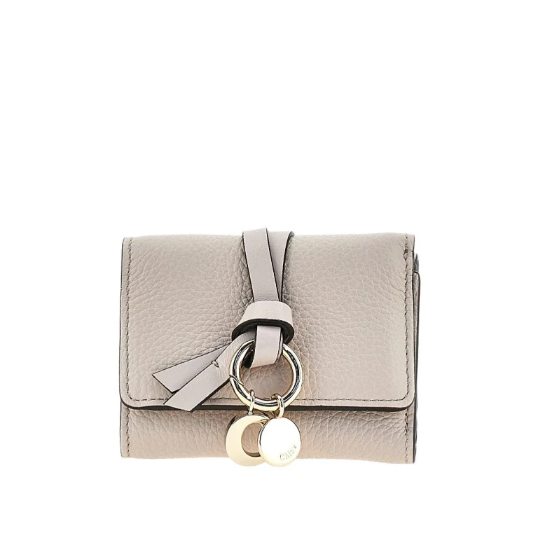 Mini portafoglio Chloé Alphabet in pelle