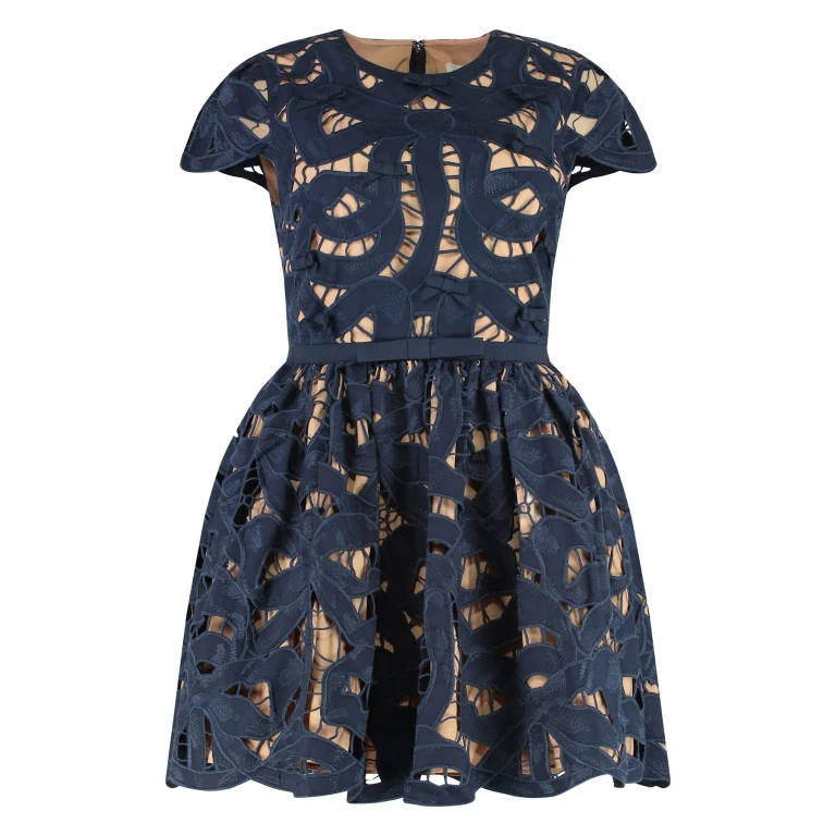 self-portrait Embroidered Mini Dress