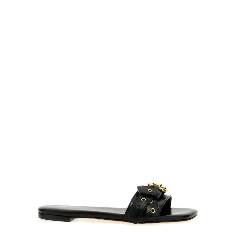Plan C Flat Shoes