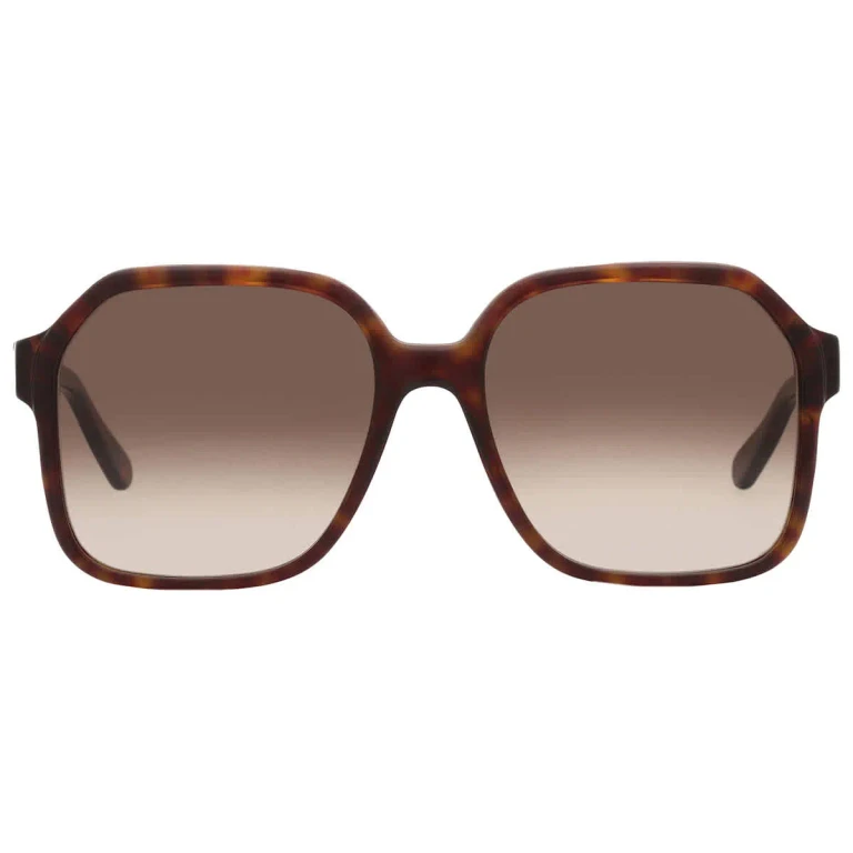 Salvatore Ferragamo Grey Gradient Square Ladies Sunglasses SF1069S 242 56