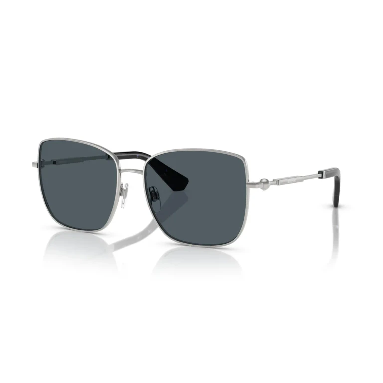 Burberry Dark Grey Butterfly Ladies Sunglasses BE3158 135387 58