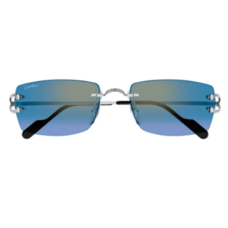 Cartier Eyewear Ct0550s007 Silver Silver Blue