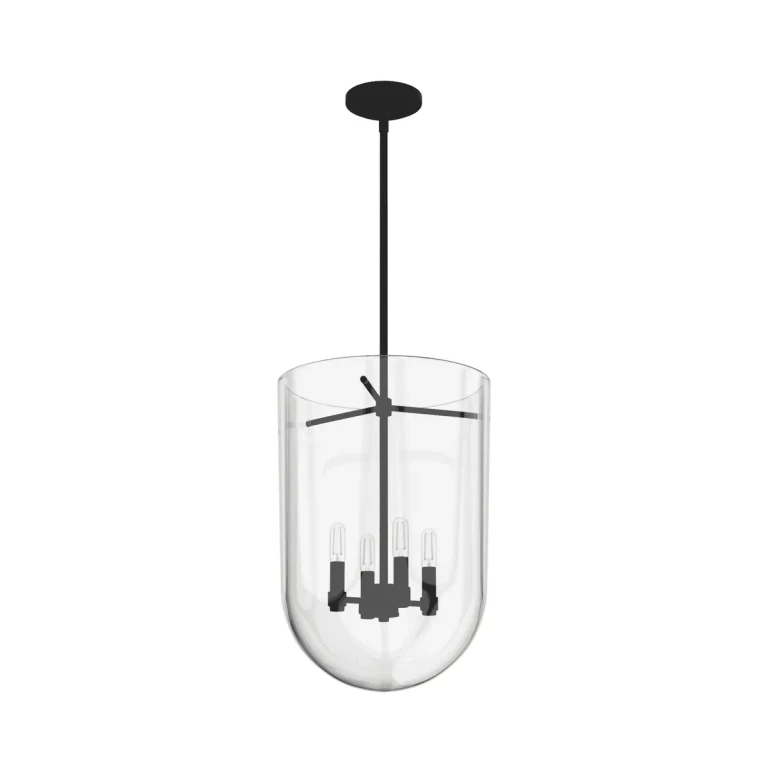 Natural Black Iron Four Light Pendant from the Sacha Collection