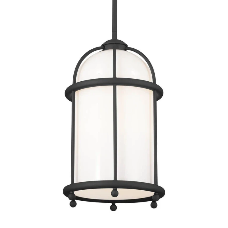 Topiary Transitional Pendant in Textured Black