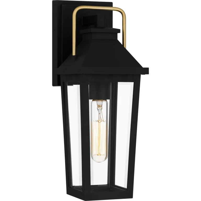 Buckley 1-Light Outdoor Wall Mount in Matte Black