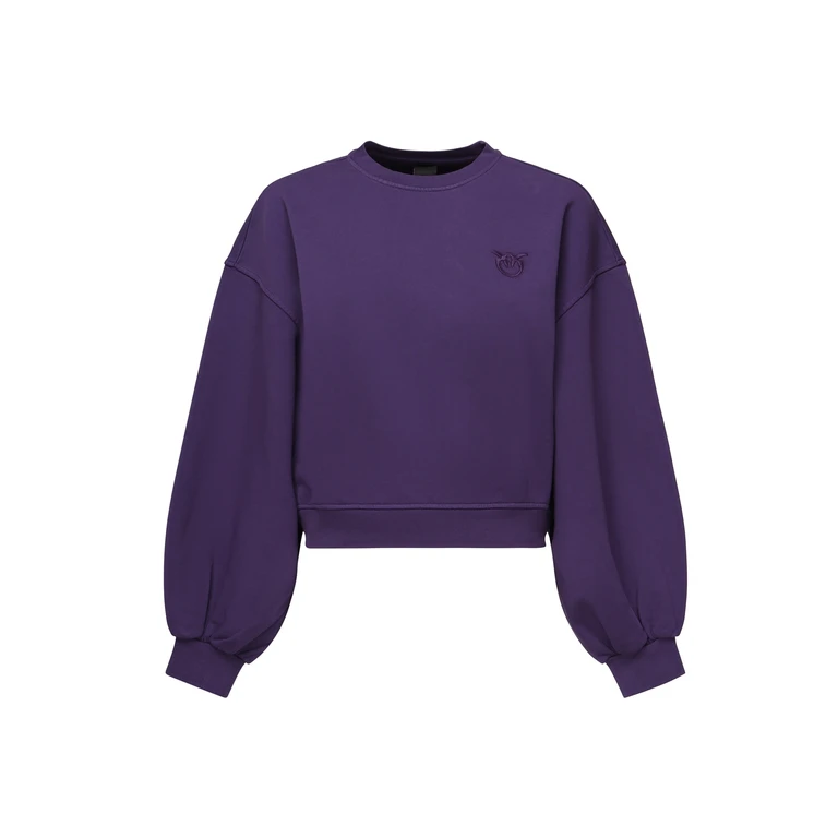 Pinko Sweaters Purple Cotton - Women