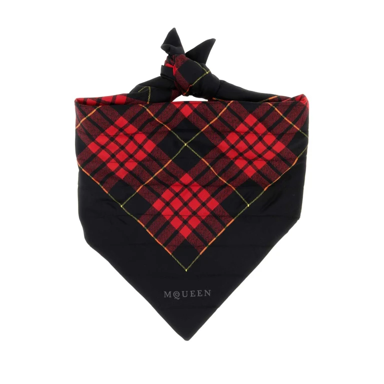 Alexander McQueen Embroidered Silk Scarf