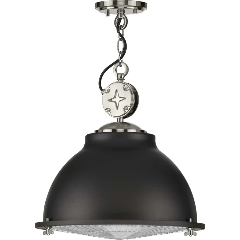 Graphite One Light Pendant from the Medal Collection