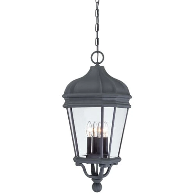 Harrison 4-Light 29" Outdoor Hanging Light in Black