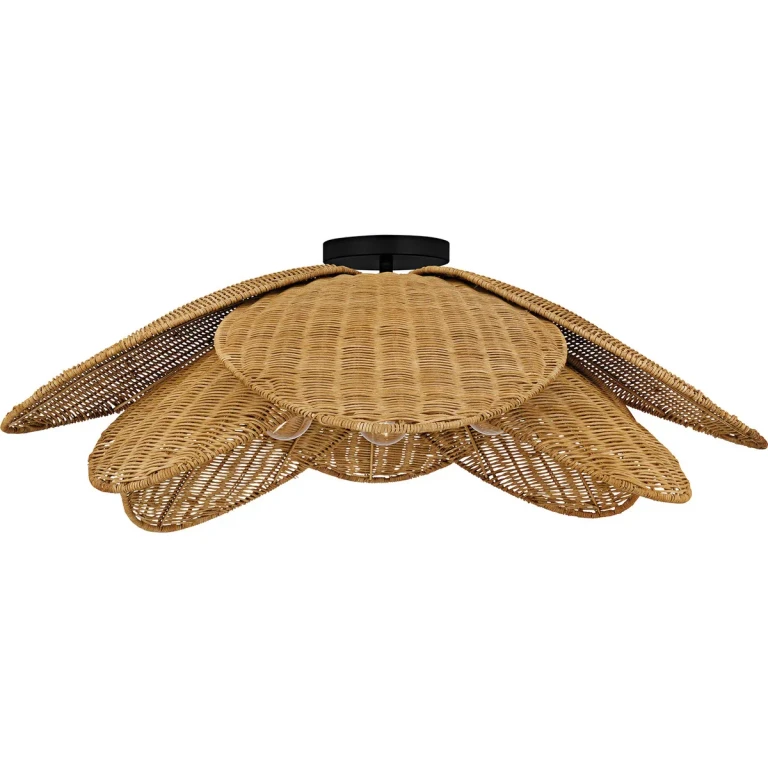 Matte Black Semi-Flush Mount from the Willa Collection