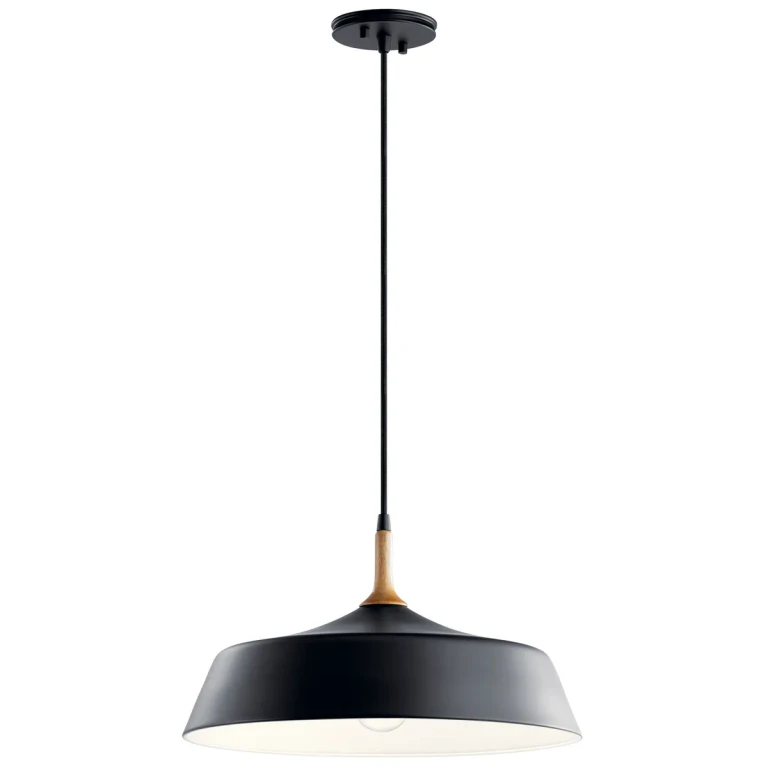Danika 16" Pendant Light in Black
