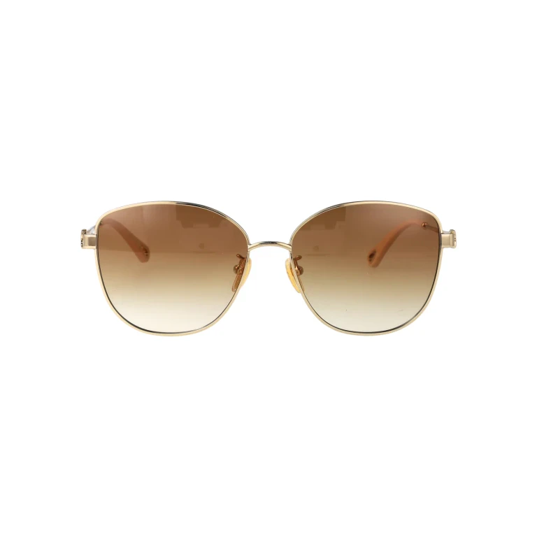 Chloé Eyewear Ch0306sk Sunglasses