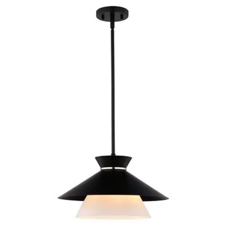 Matte Black Pendant from the Loomis Collection