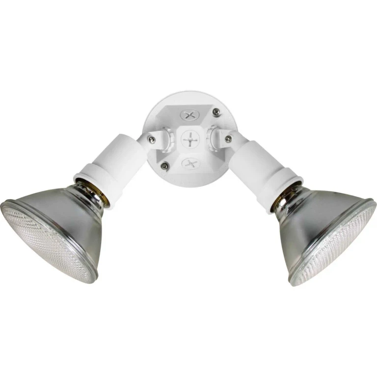White Two Light Adjustable Swivel Flood Light from the Par Lampholder Collection