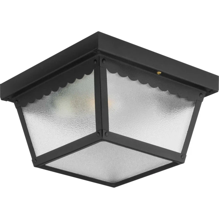 Black Two Light Outdoor Flush Mount from the Ceiling Mount Collection