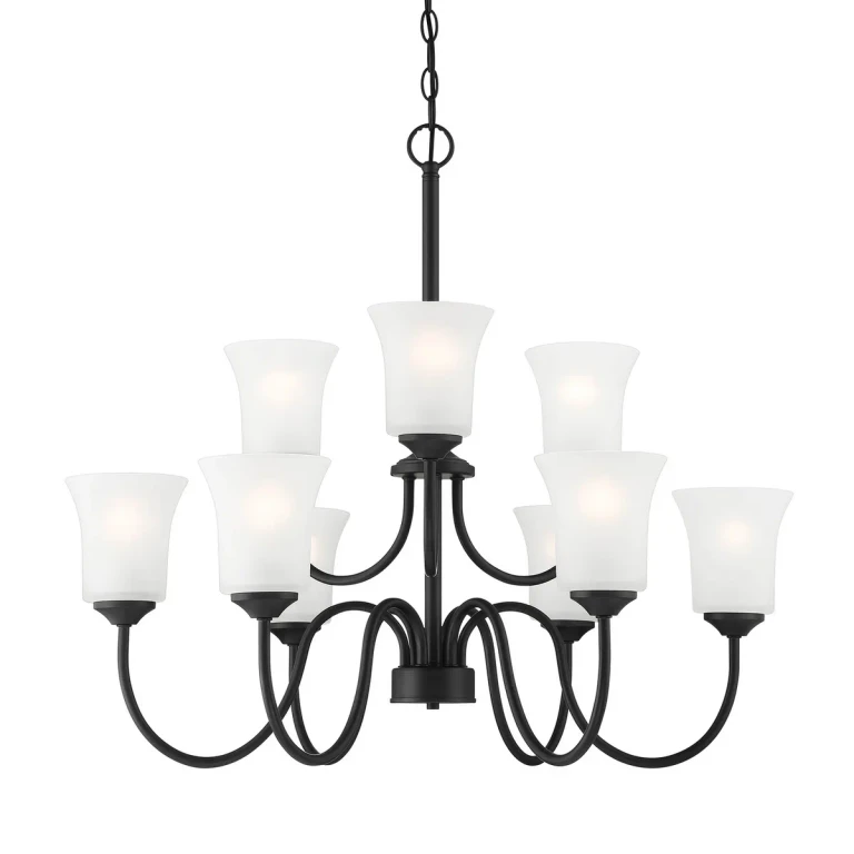 Matte Black Nine Light Chandelier from the Bronson Collection