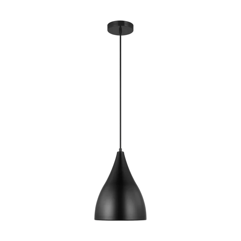 Midnight Black One Light Pendant from the Oden Collection