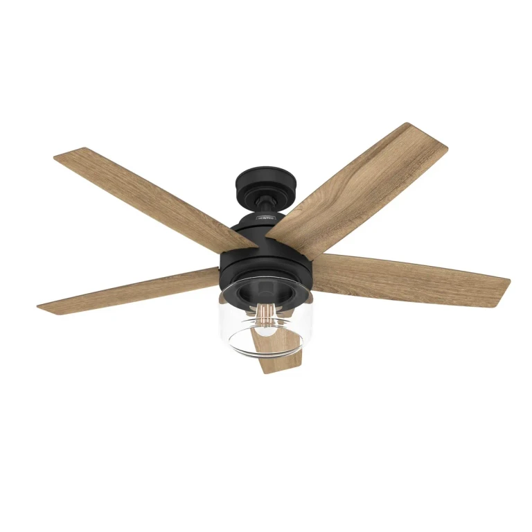 Matte Black 44"Ceiling Fan from the Margo Collection