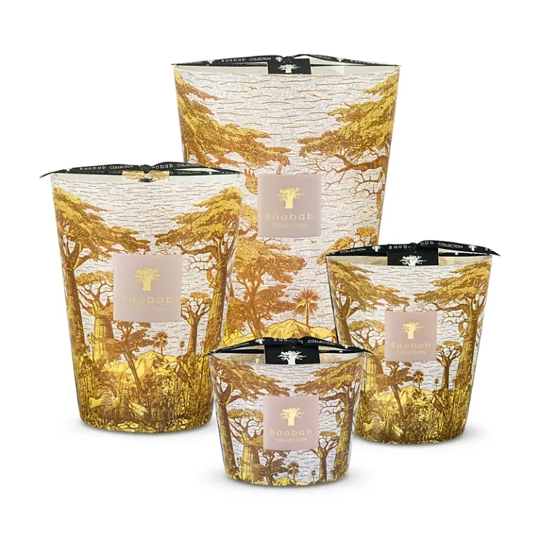 Baobab Collection Max 10 Sacred Trees Boukani Candle, 17.6 oz.
