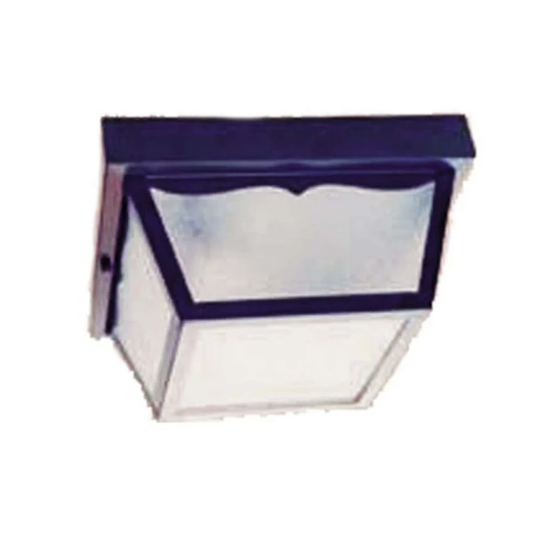 Matte Black Two Light Ceiling Mount from the Builders` Choice Collection