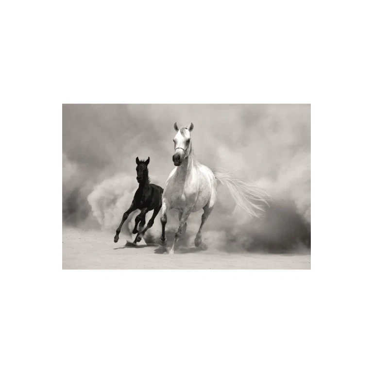 Black And White Photographic Artwork | Andrew Martin Horses