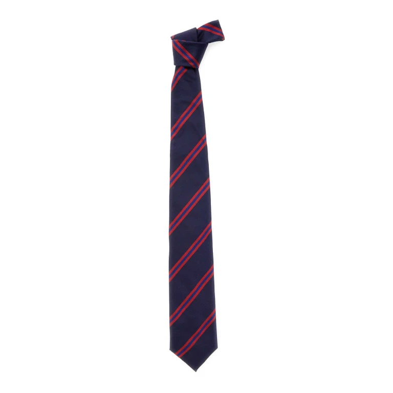 Sebago Blue regimental Bow Tie With Striped Silk For Men