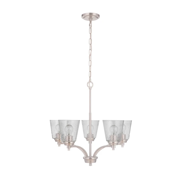 Tyler 5-Light Transitional Chandelier in Brushed Polished Nickel