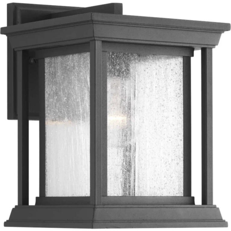 Black One Light Wall Lantern from the Endicott Collection