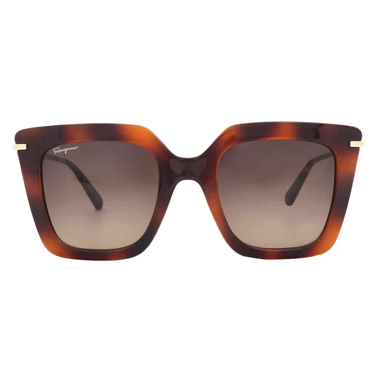 Salvatore Ferragamo Brown Gradient Butterfly Ladies Sunglasses SF1041S 238 51