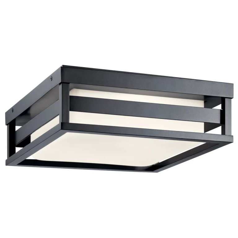 12" Outdoor Ceiling Light in Black