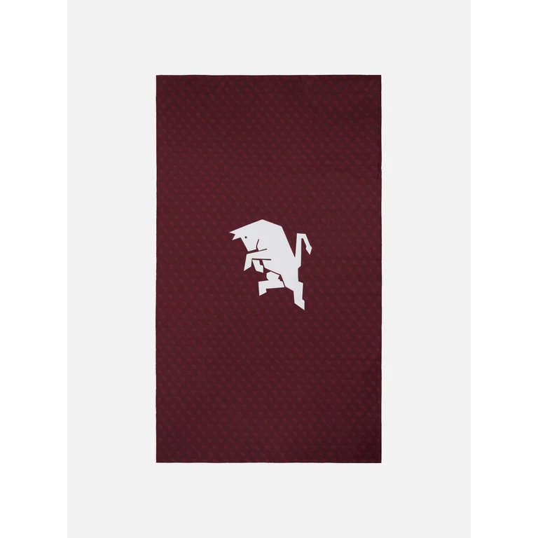 Mc2 Saint Barth Microfiber Striped Beach Towel Aidan With Torino Print Fc Special Edition Red - Unisex