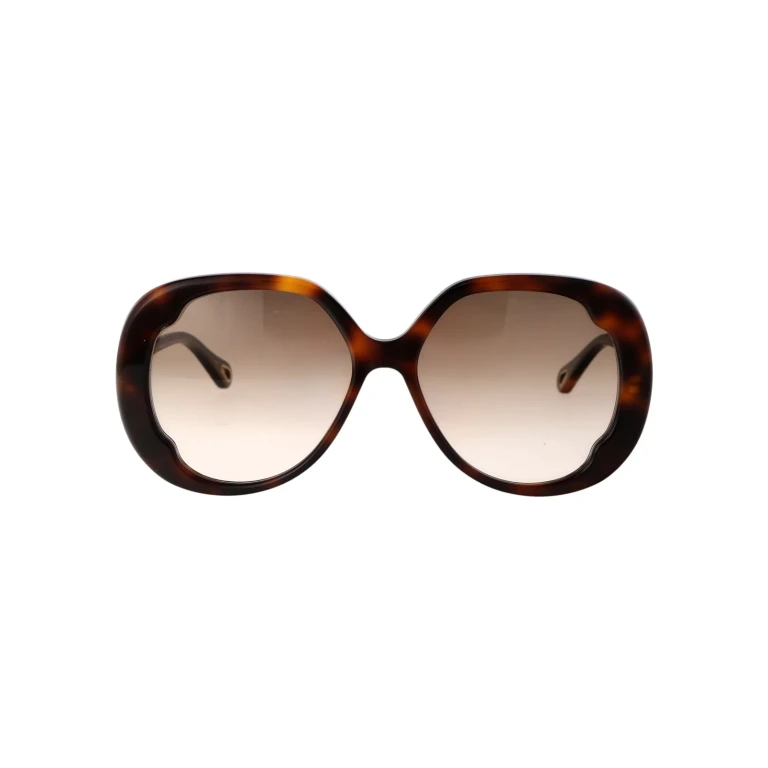 Chloé Eyewear Ch0195s Sunglasses