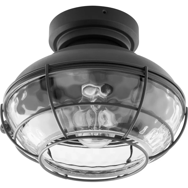 Quorum Windmill Ceiling Fan Light Kit in Noir