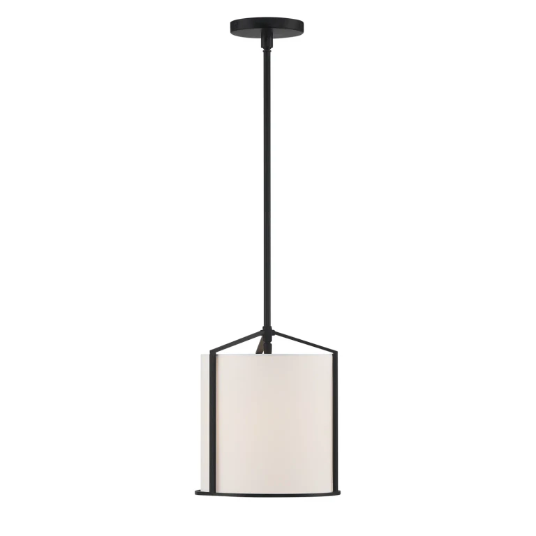 Carlyn 1-Light Pendant in Black