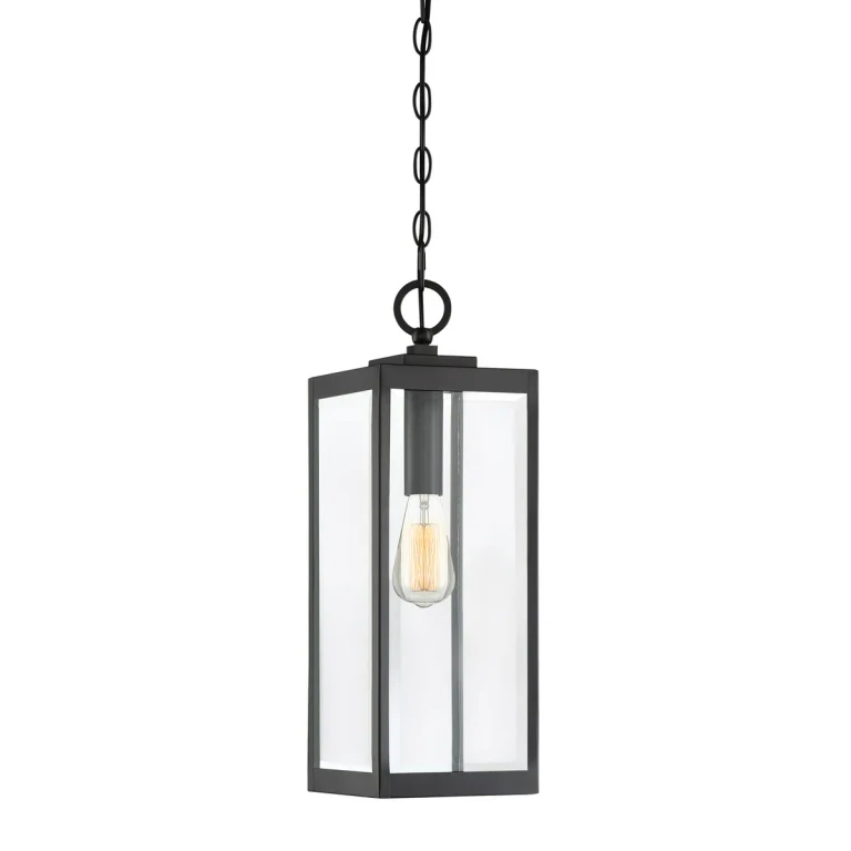 Westover 1-Light Outdoor Hanging Lantern in Earth Black