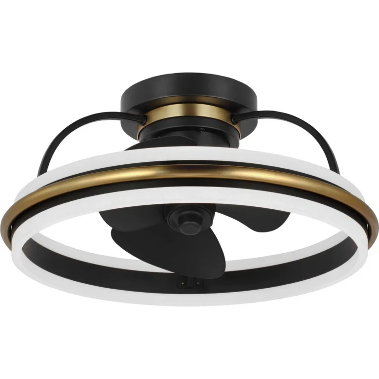 Matte Black Ceiling Fan from the Burnett Collection