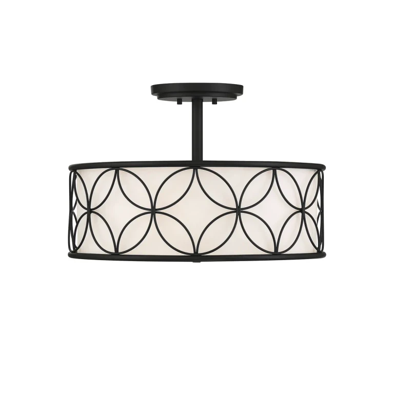 Reid 4-Light Ceiling Light in Matte Black