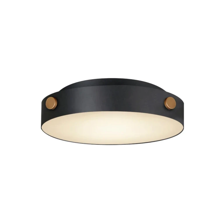 Black Antique Brass LED Flush Mount from the Rivet Collection