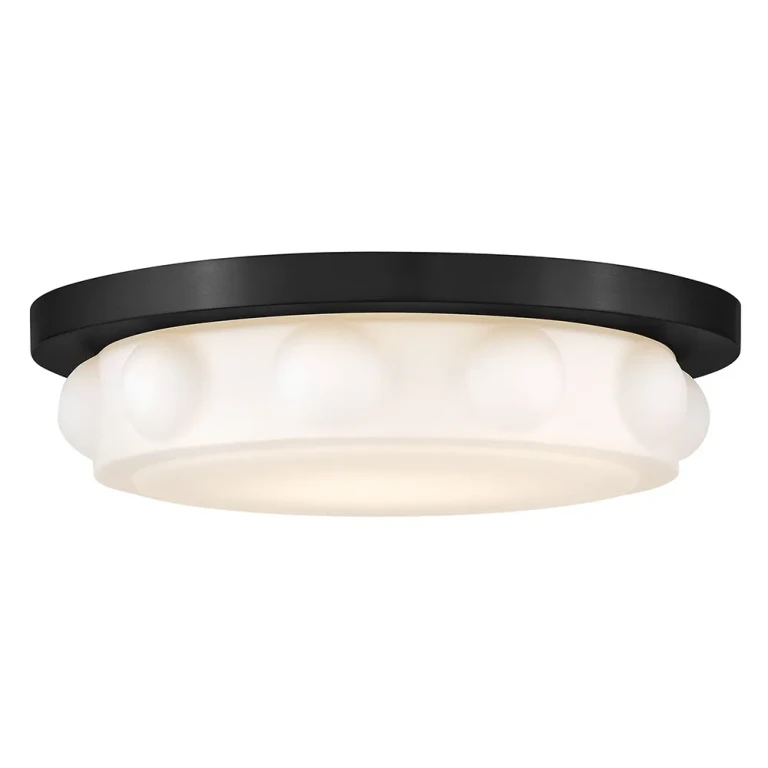 Black LED Flush Mount from the Zoey Collection