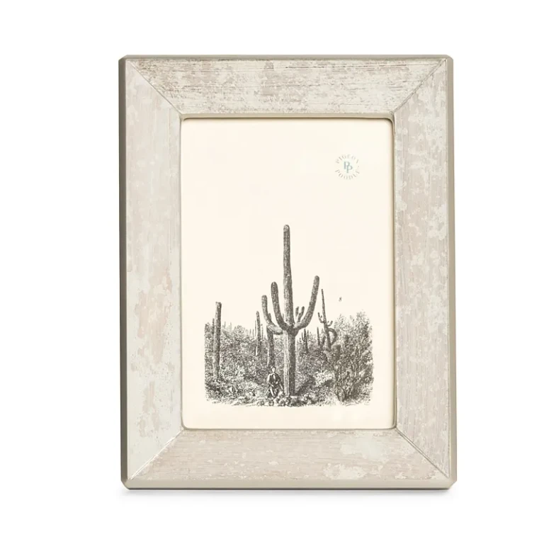 Pigeon & Poodle Seville Metallic Frost Frame, 4x 6