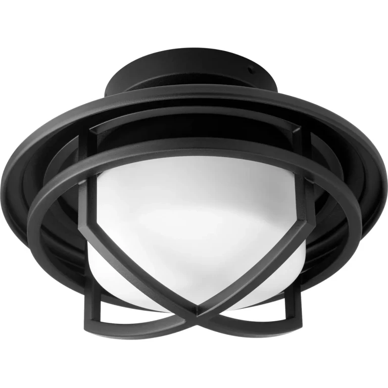 Quorum Ceiling Fan Light Kit in Noir