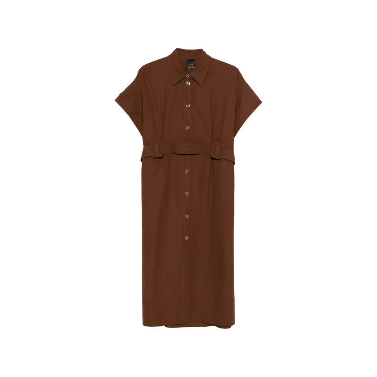 Pinko Alesha Brown Abito - Women