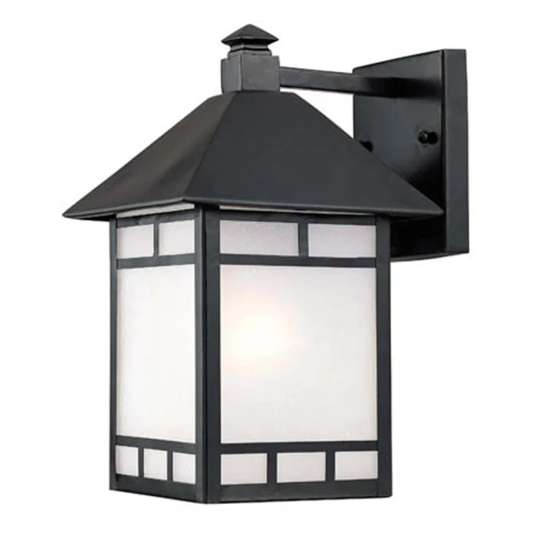Seaside 1-Light 12" Outdoor Medium Wall in Black Finish