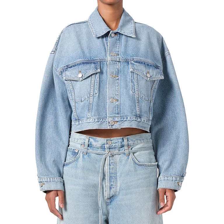 Agolde Palmer Cropped Denim Jacket