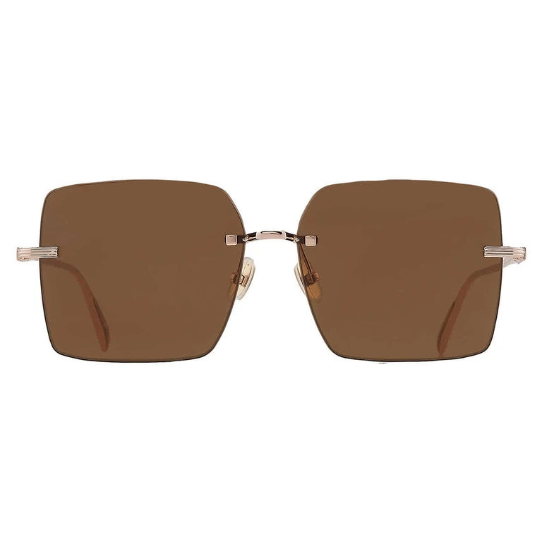 Salvatore Ferragamo Brown Square Ladies Sunglasses SF311S 780 60