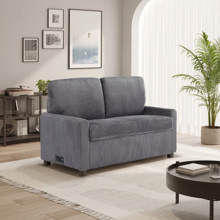 Serta Lindzee Gray Loveseat Pull-Out Sleeper