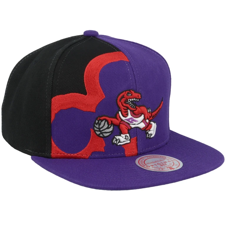 Men's NBA Retroline Snapback Hwc Raptors Snapback Caps